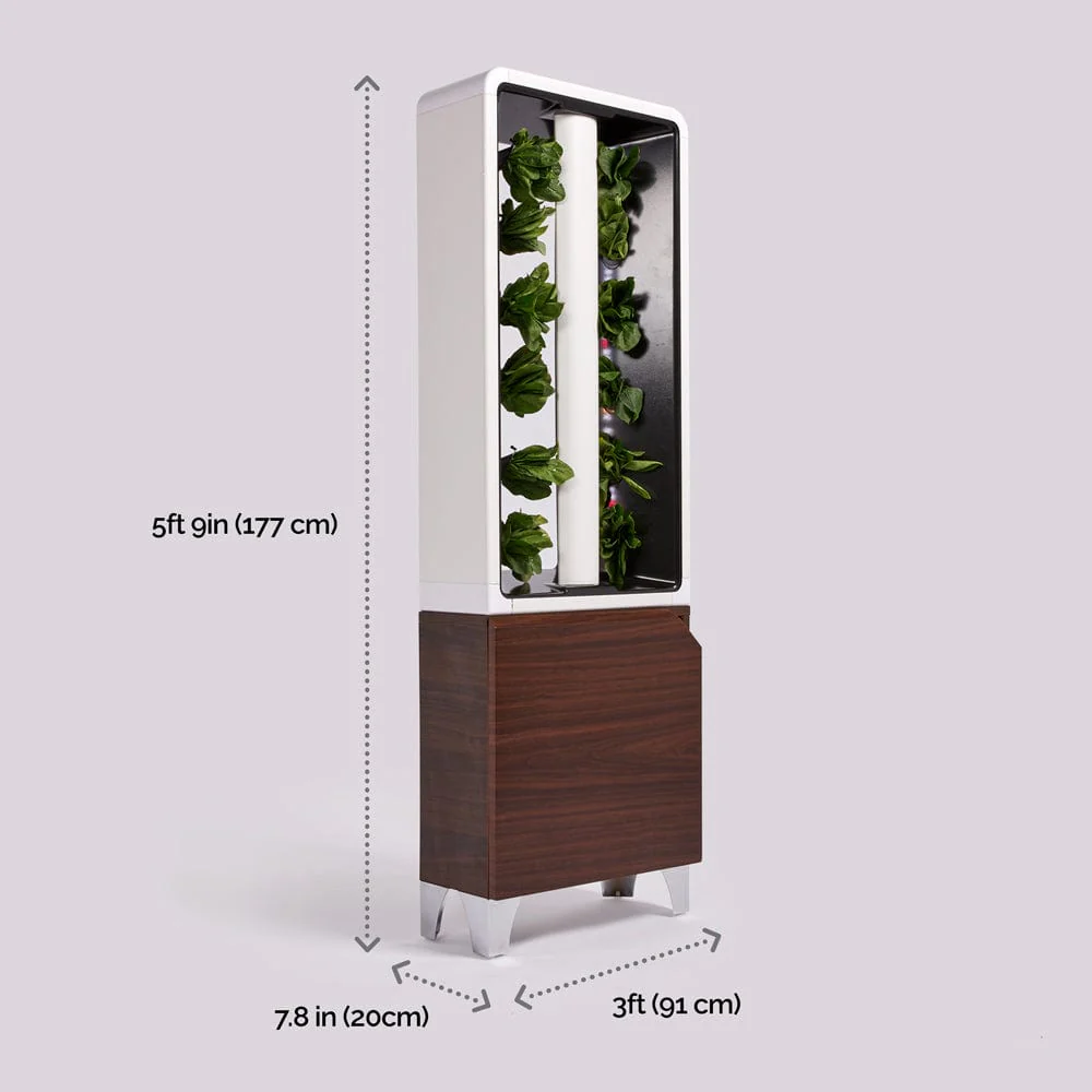 Just Vertical EVE Indoor Hydroponic Garden - Image 15